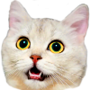 MakeEmoji sample cat at its original 100-pixel width