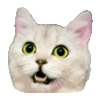 Animated cat reaction: wave hello
