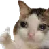 Click to make emojis with: A cat crying and giving a thumbs up