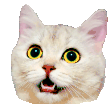 MakeEmoji's sample cat with the shake animation