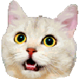MakeEmoji's sample cat with the spin animation